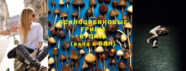 прущий лед Алексин