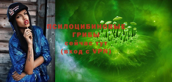 прущий лед Алексин