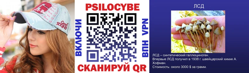 Галлюциногенные грибы GOLDEN TEACHER  Щёлково 