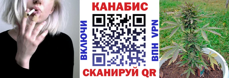 Шишки марихуана семена  Щёлково 